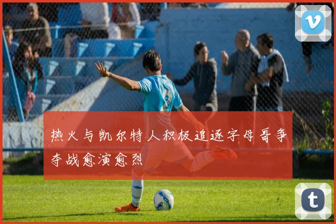 热火与凯尔特人积极追逐字母哥争夺战愈演愈烈